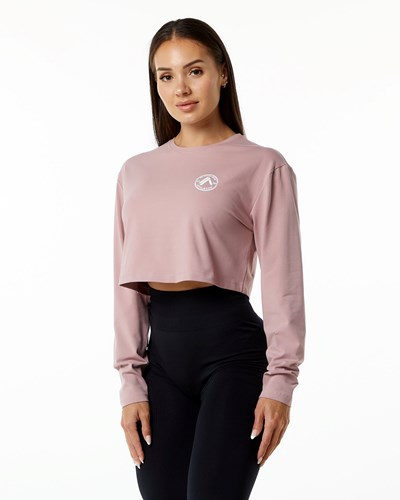 Alphalete Oversized Performance Long Sleeve Crop Mauve | 378KFDEYX