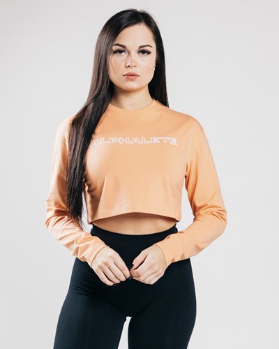 Alphalete Oversized Performance Long Sleeve Crop Oranssi | 560BJQUDG