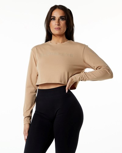 Alphalete Oversized Performance Long Sleeve Crop Taupe | 743MKQLPZ