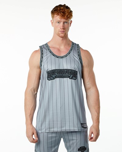 Alphalete Relaxed Fit Jersey Harmaat | 901MTKFWC