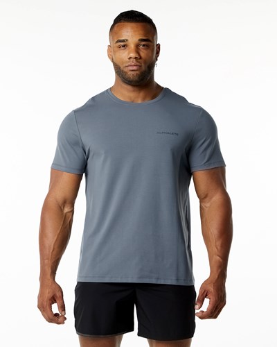 Alphalete Relaxed Fit Tee Carbon | 602TOQHVG
