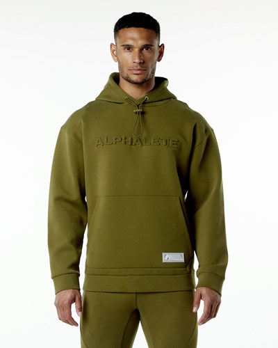 Alphalete Relaxed Interlock Knit Hoodie Moss | 038LYZMOW
