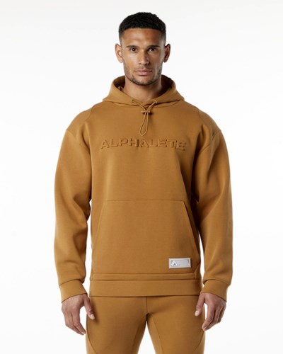 Alphalete Relaxed Interlock Knit Hoodie Almond | 065JCABSV