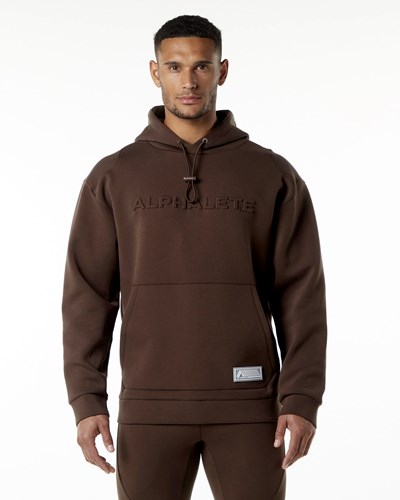 Alphalete Relaxed Interlock Knit Hoodie Ruskea | 271VIJQZX