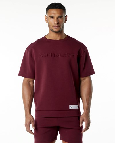 Alphalete Relaxed Interlock Knit Pullover Viininpunainen | 078COQVLE