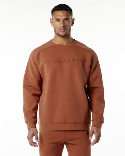 Alphalete Relaxed Interlock Knit Pullover Brick | 185VQCSWK