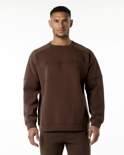 Alphalete Relaxed Interlock Knit Pullover Ruskea | 289DSLOYN