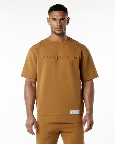 Alphalete Relaxed Interlock Knit Pullover Almond | 358OAQLTW