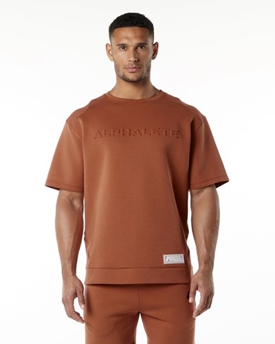 Alphalete Relaxed Interlock Knit Pullover Brick | 796OXETVM