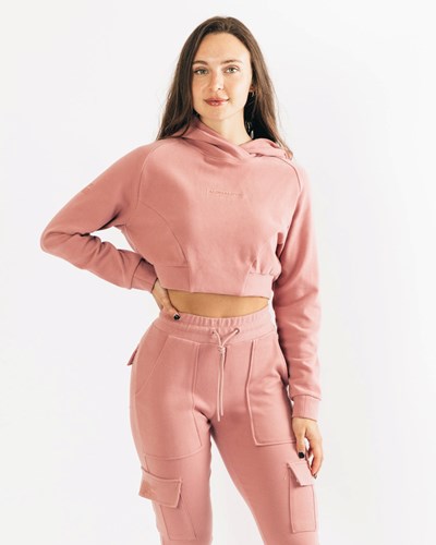 Alphalete Relaxed Single-Brushed Pullover Hoodie Cranberry Ice | 516CHWZPM