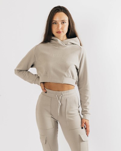 Alphalete Relaxed Single-Brushed Pullover Hoodie String | 815VUDPWS