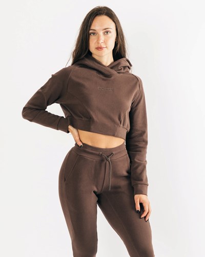 Alphalete Relaxed Single-Brushed Pullover Hoodie Cocoa | 841VECFMH