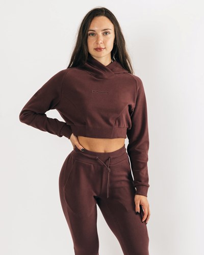 Alphalete Relaxed Single-Brushed Pullover Hoodie Mahogany | 940DRHSLA