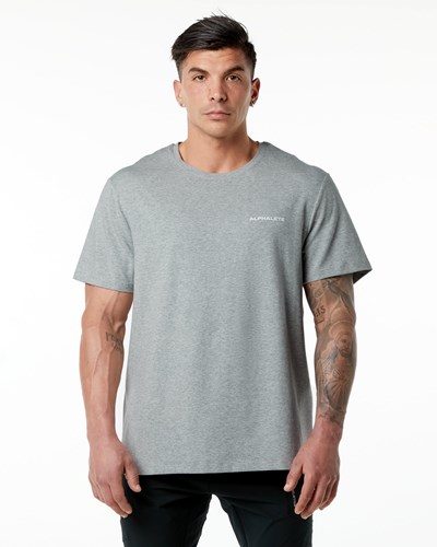 Alphalete Set-In Sleeve Tee Harmaat | 201PUSXAN