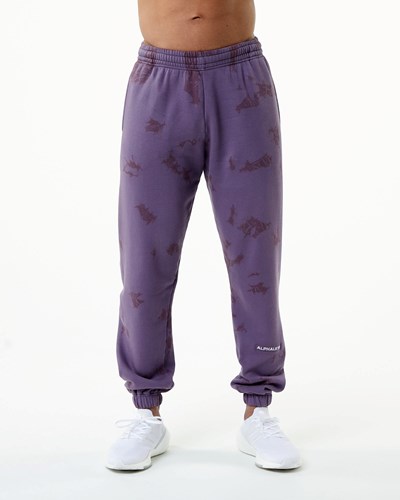 Alphalete Washed 31" Fleece Jogger Revolution | 761JDISTF