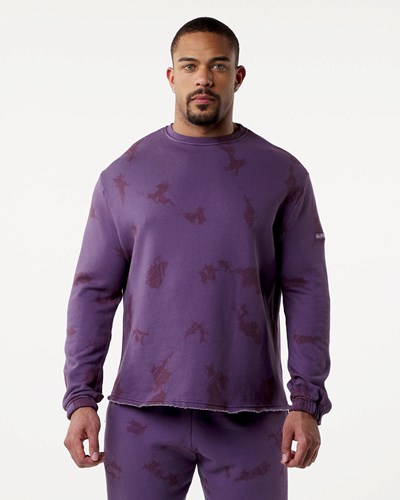 Alphalete Washed Fleece Villa Revolution | 016VGLTHM